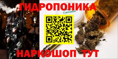 крисы Будённовск