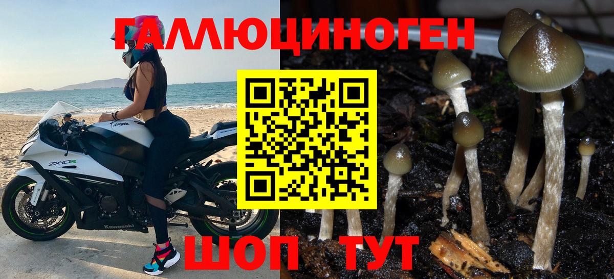 Галлюциногенные грибы мухоморы Сунжа