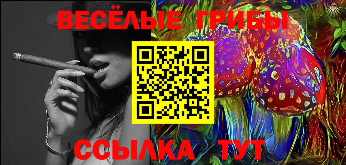 Галлюциногенные грибы мухоморы  где купить наркотик  Галлюциногенные грибы GOLDEN TEACHER  Сунжа  Вход с VPN 